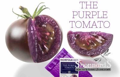 An image of Norfolk Purple Tomato Purple