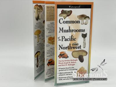 Folding Guide Mushrooms of PNW 9" x 4" (unfolds to 24")
