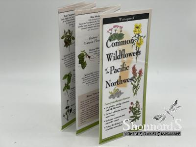 Folding Guide Wildflowers of PNW 9" x 4" (unfolds to 24")