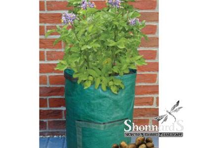 Potato Planter Bag Green 14" x 18"