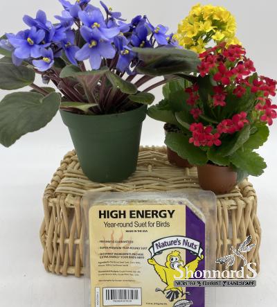 An image of High Energy Suet Natures Nut 11 oz